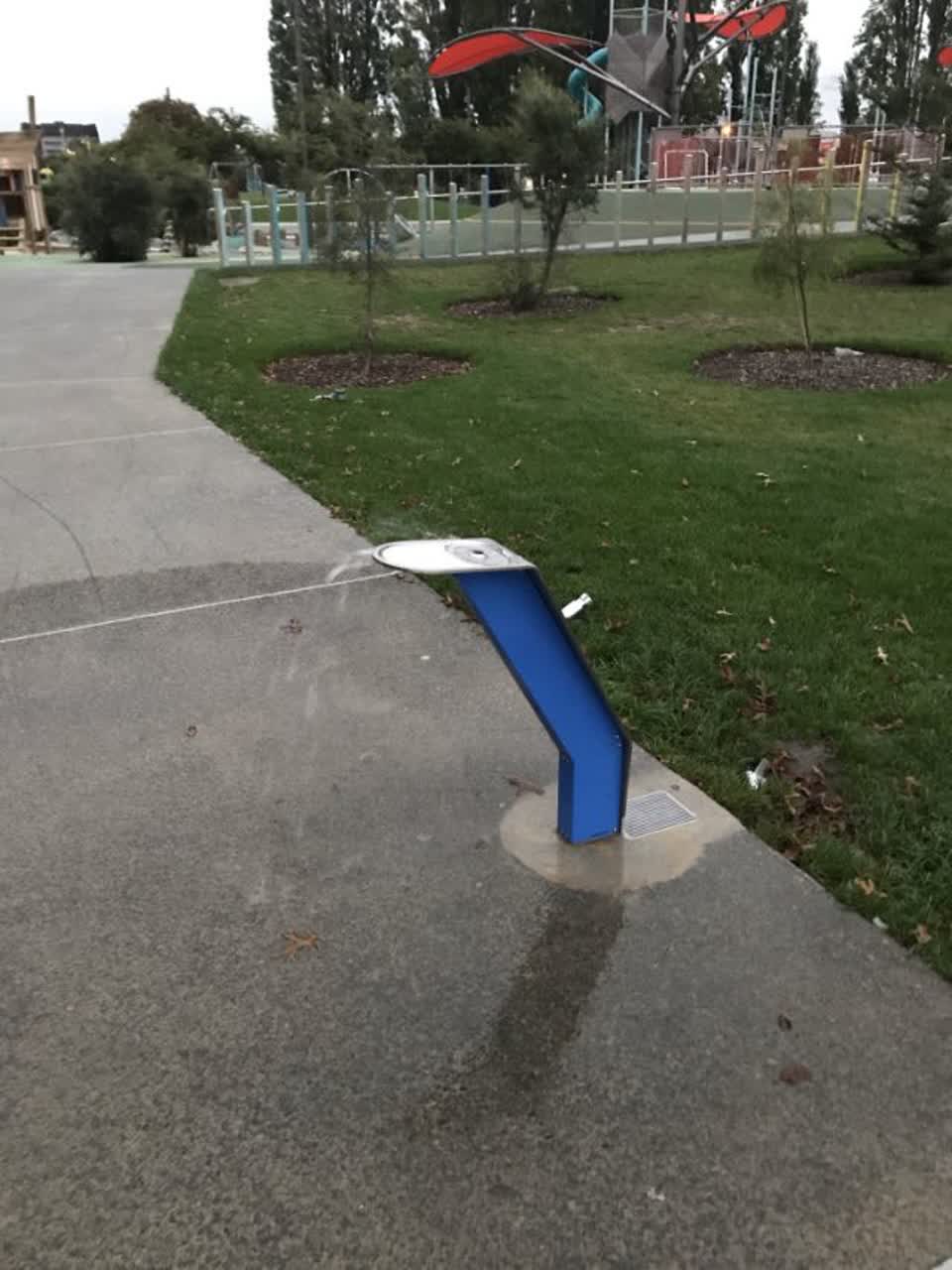 The photograph attached to this parks report