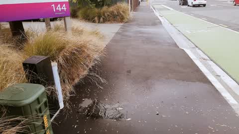 Wastewater/Stormwater, a report photo