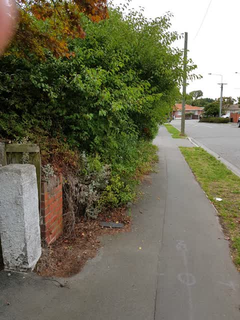 Roading/Streets, a report photo