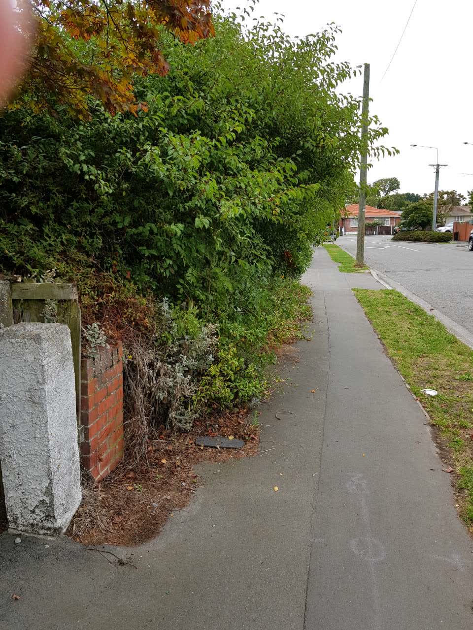 The photograph attached to this roading/streets report