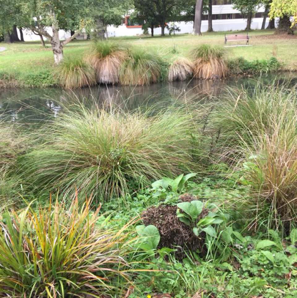 The photograph attached to this parks report