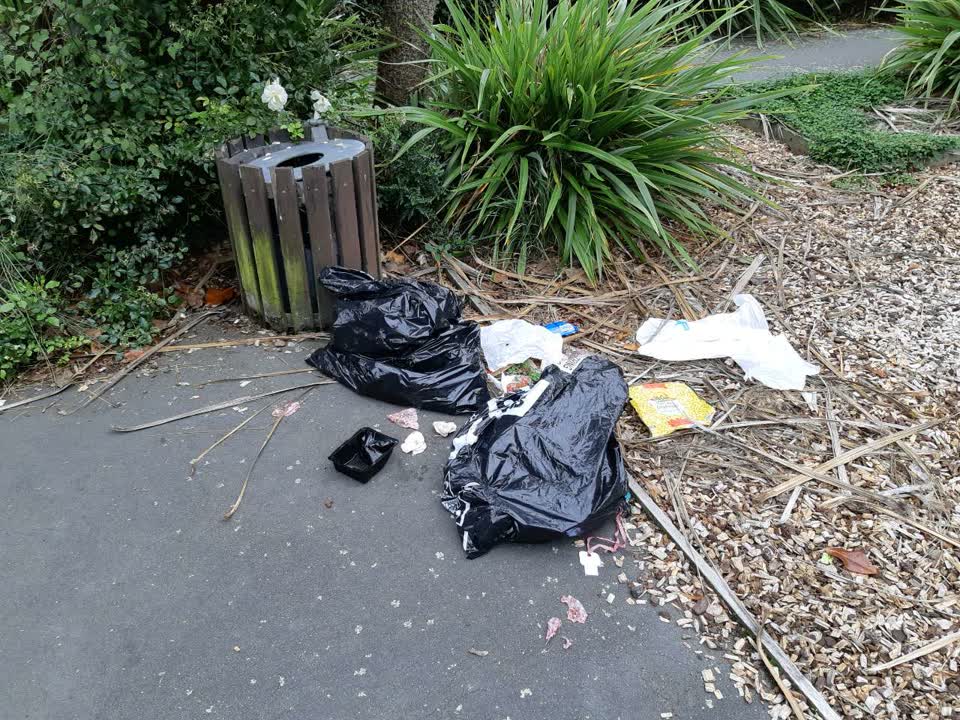 The photograph attached to this rubbish/recycling report