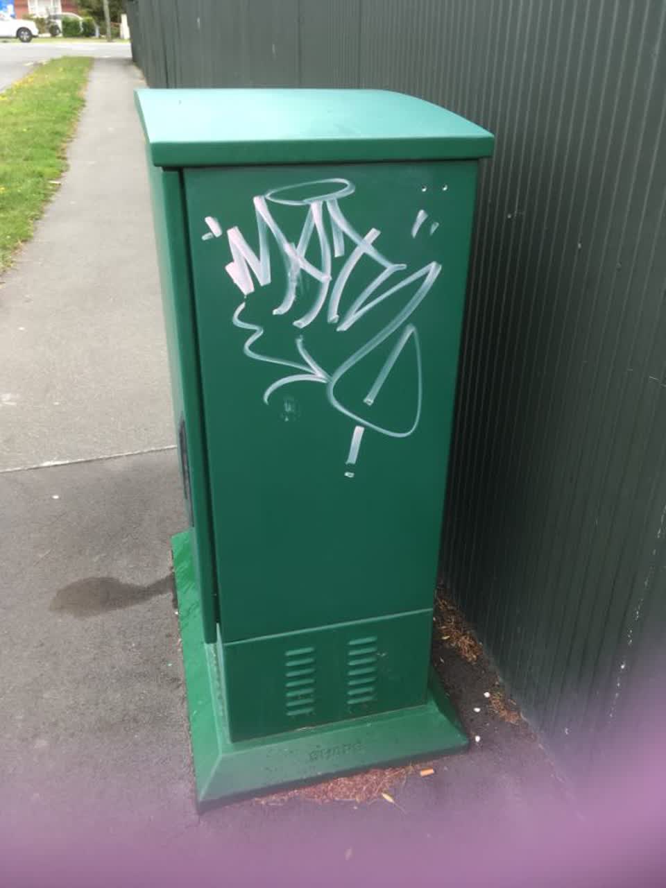 The photograph attached to this graffiti report