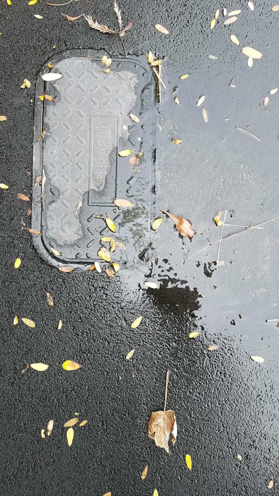 The photograph attached to this water supply report