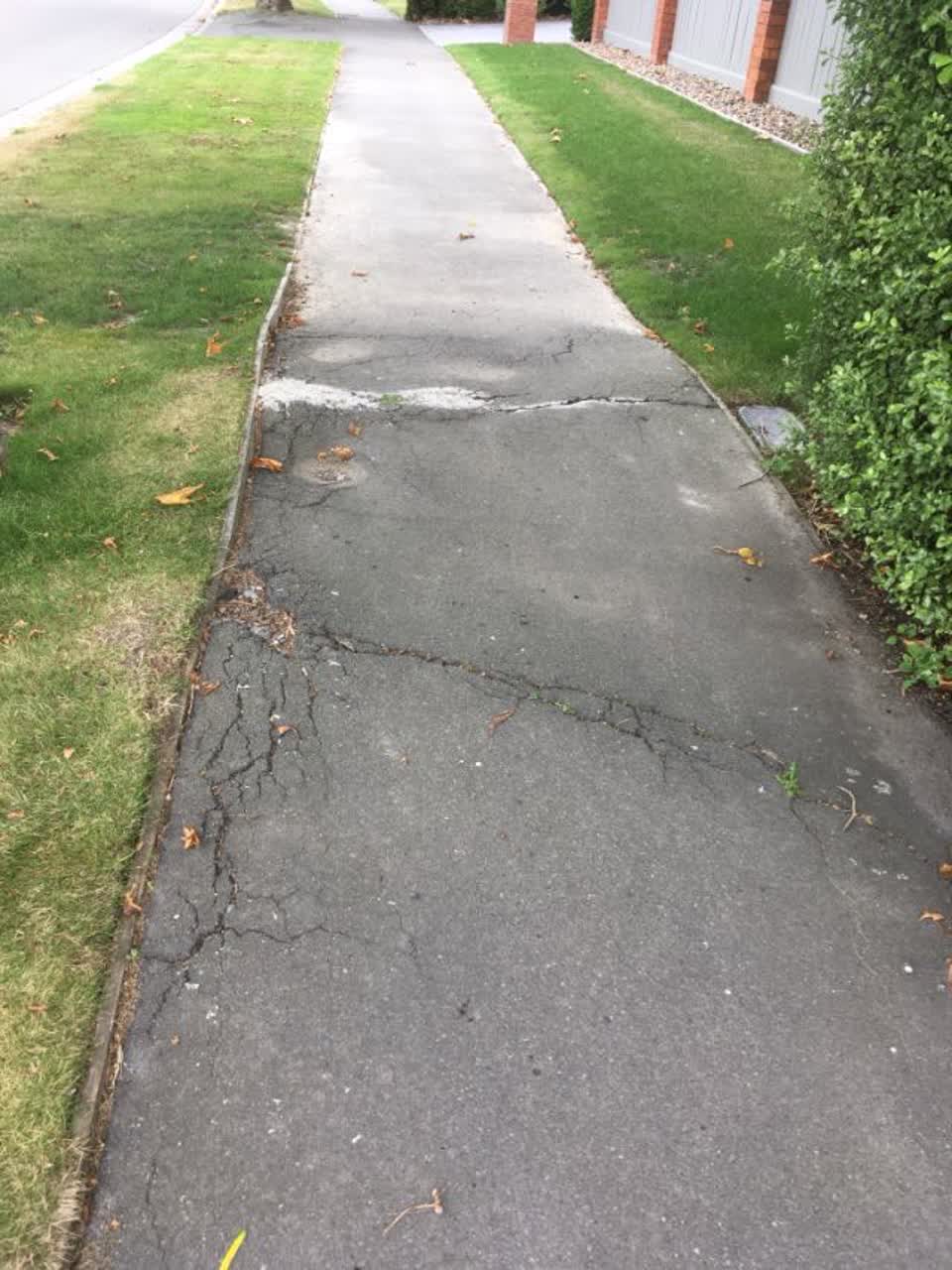 The photograph attached to this roading/streets report