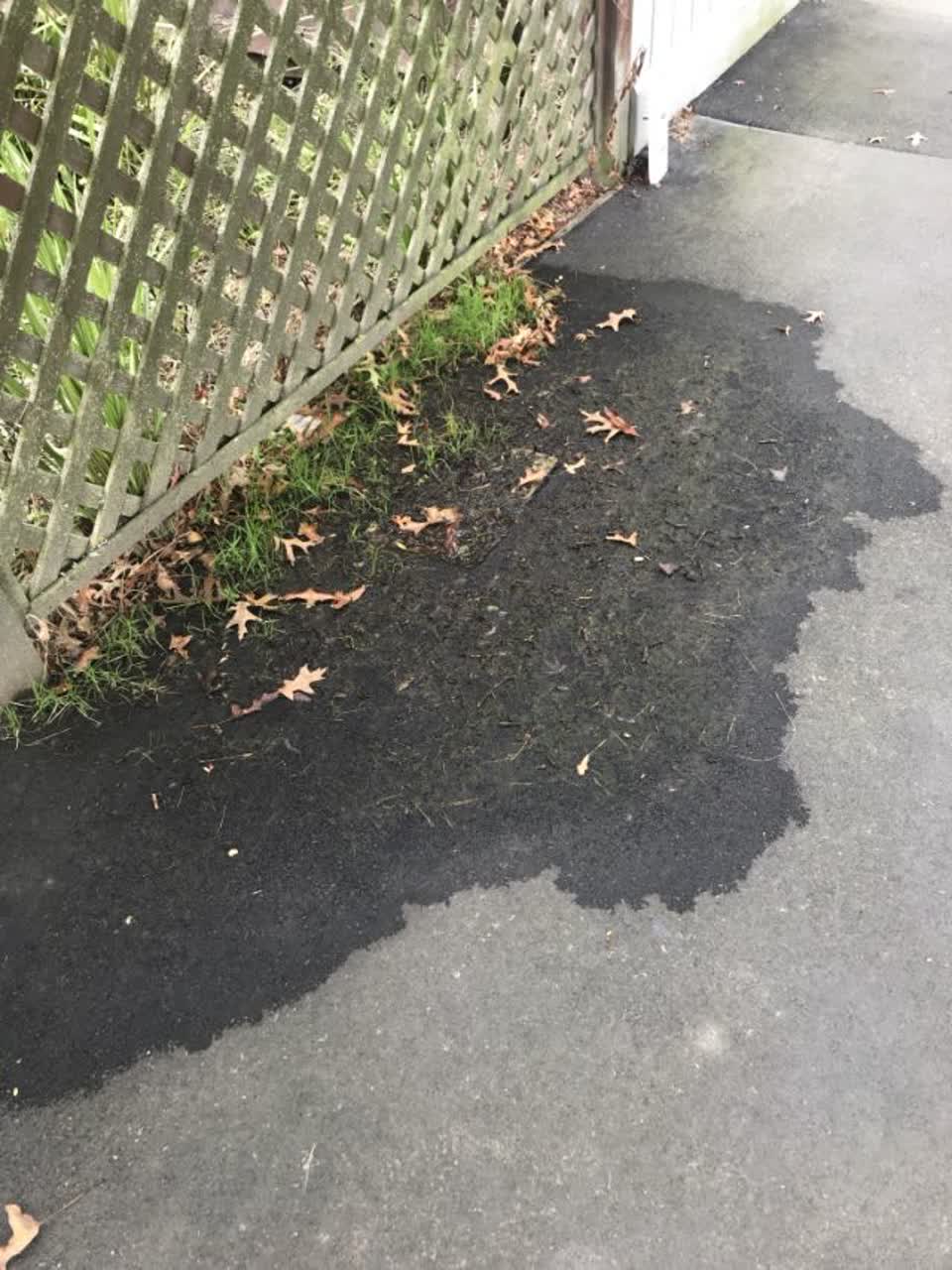 The photograph attached to this water supply report