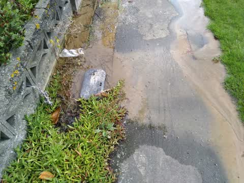Water Supply, a report photo