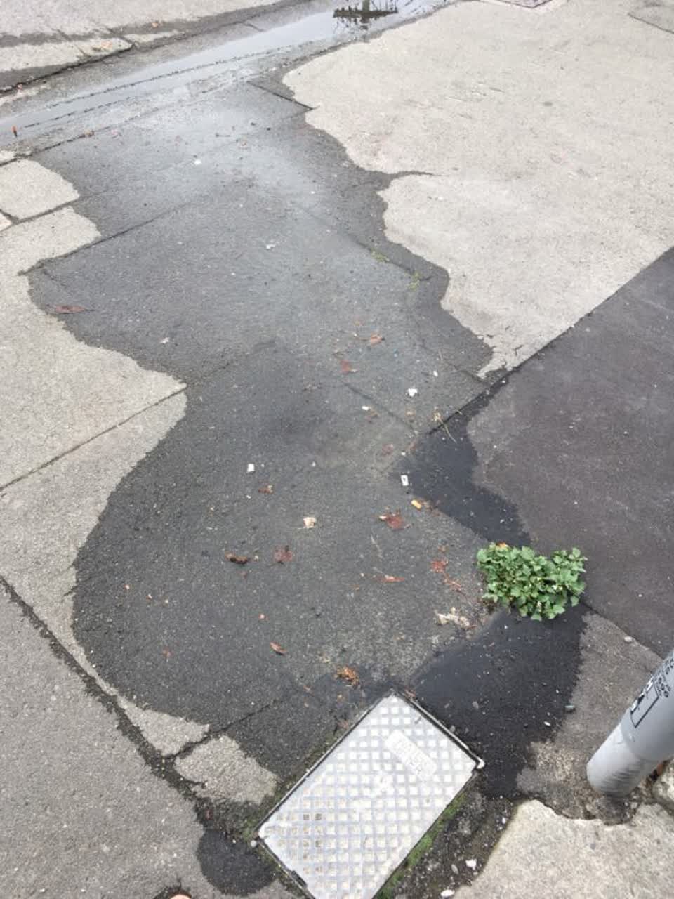 The photograph attached to this roading/streets report