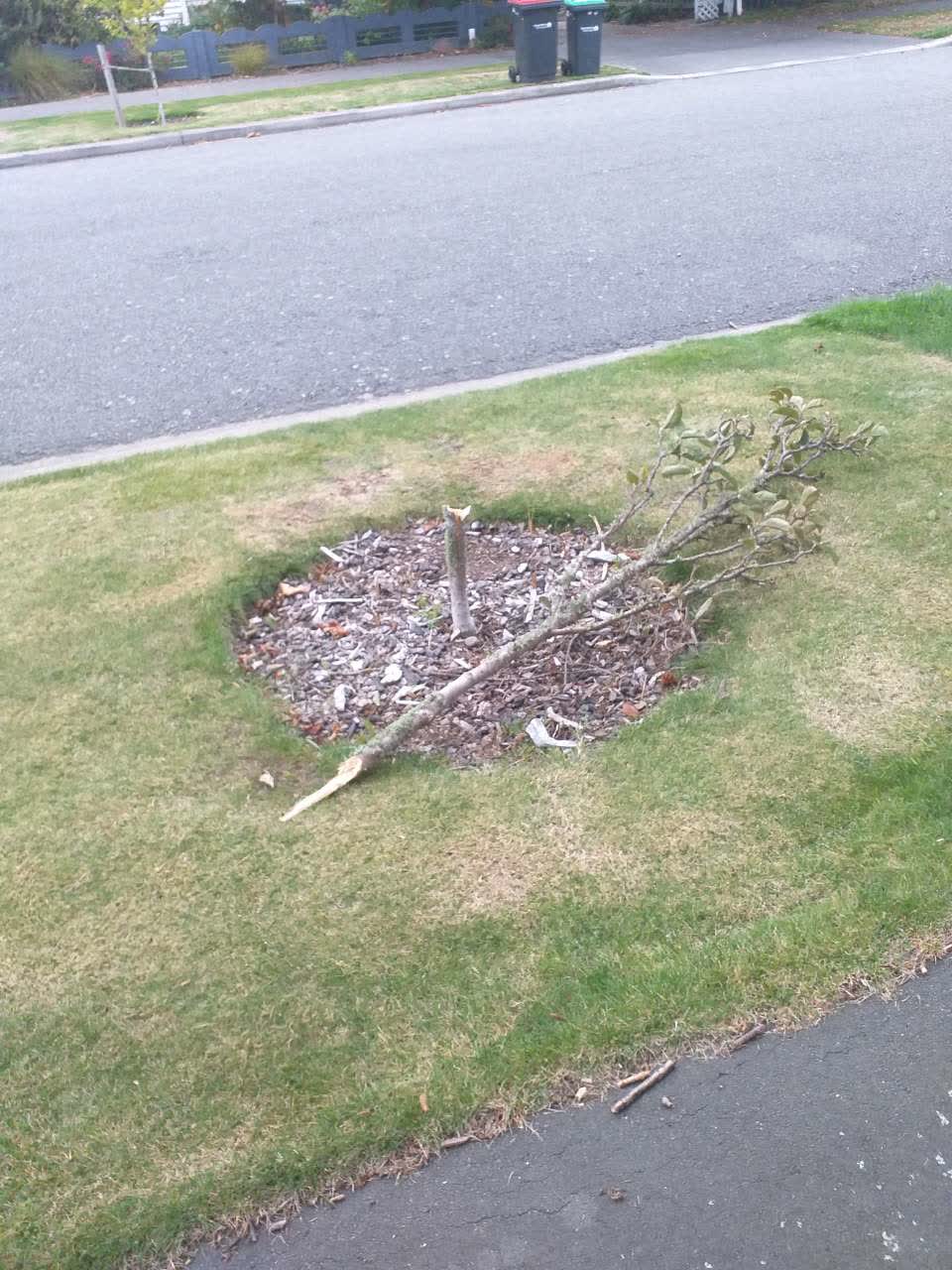 The photograph attached to this parks report