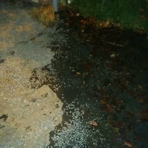 Water Supply, a report photo