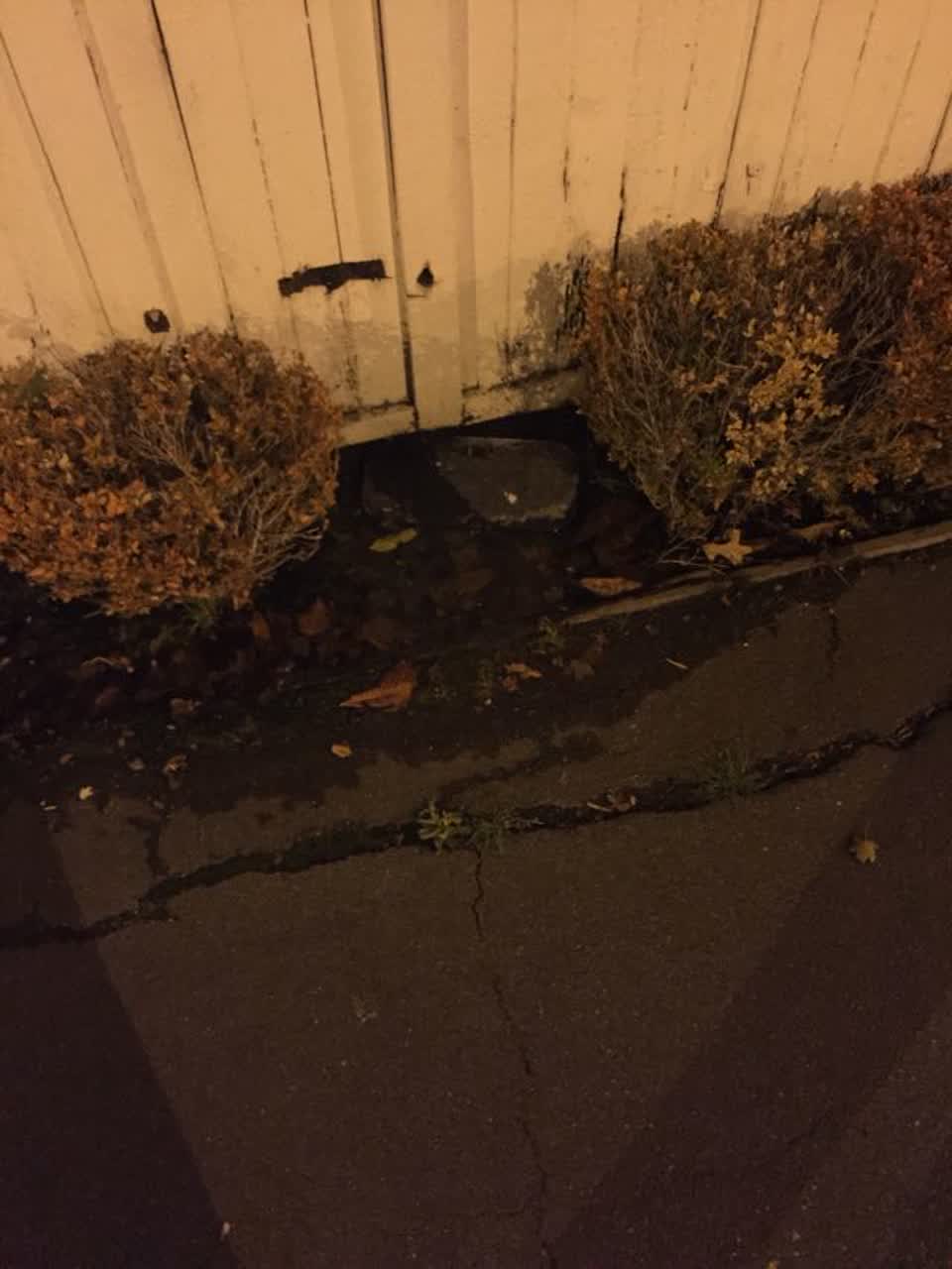 The photograph attached to this water supply report