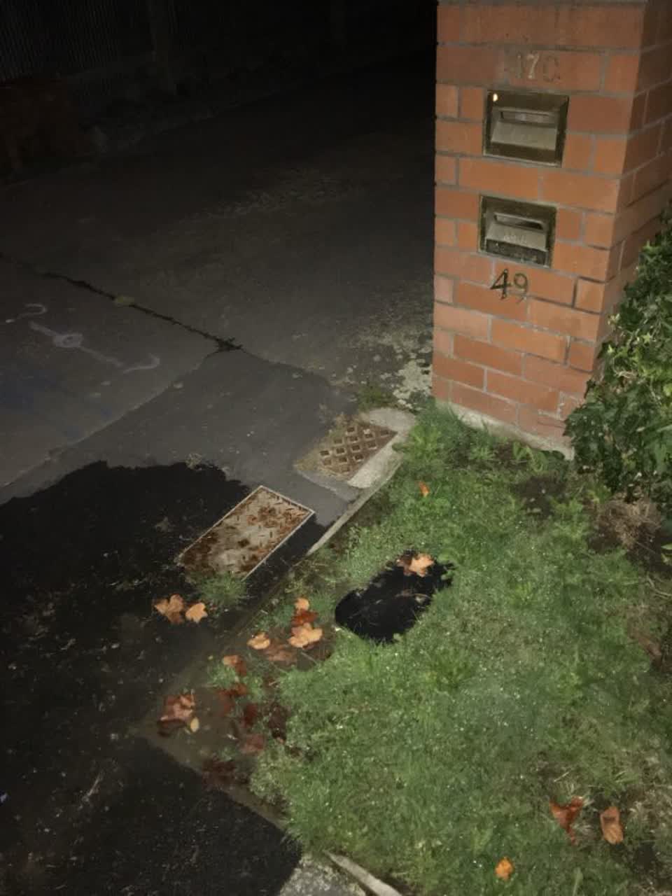 The photograph attached to this water supply report