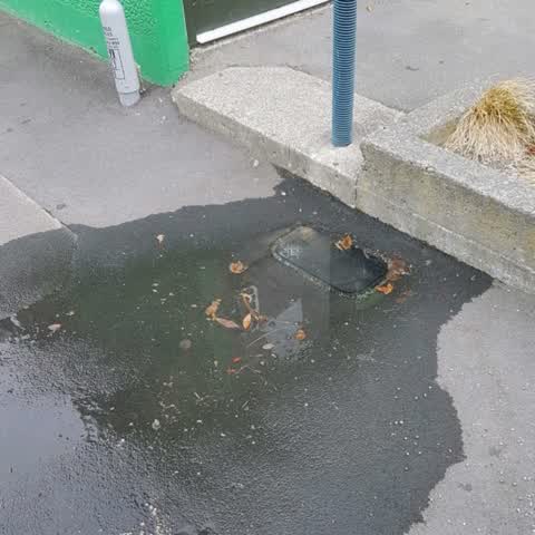 Water Supply, a report photo