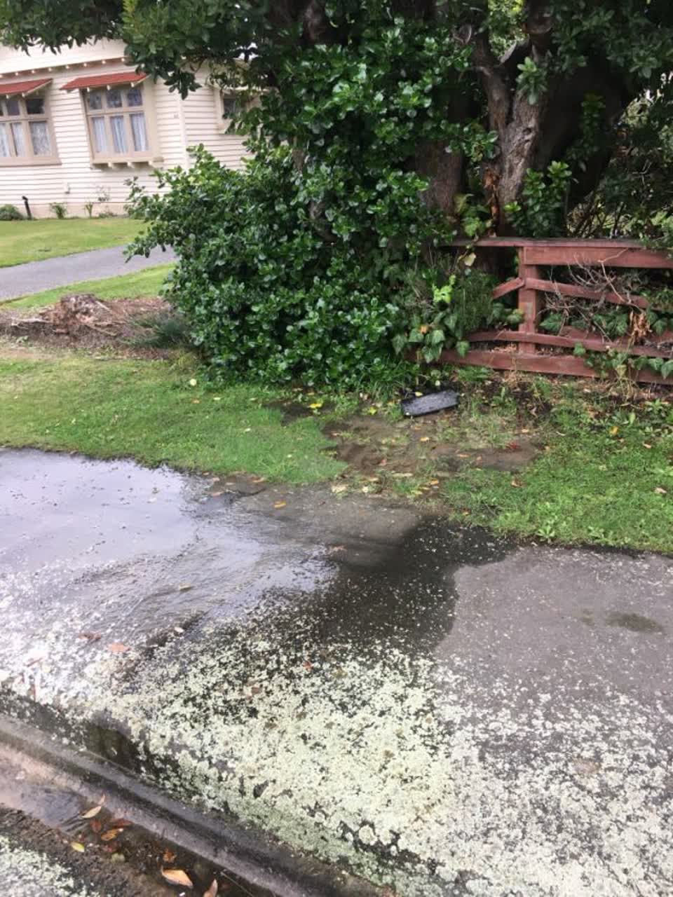 The photograph attached to this water supply report