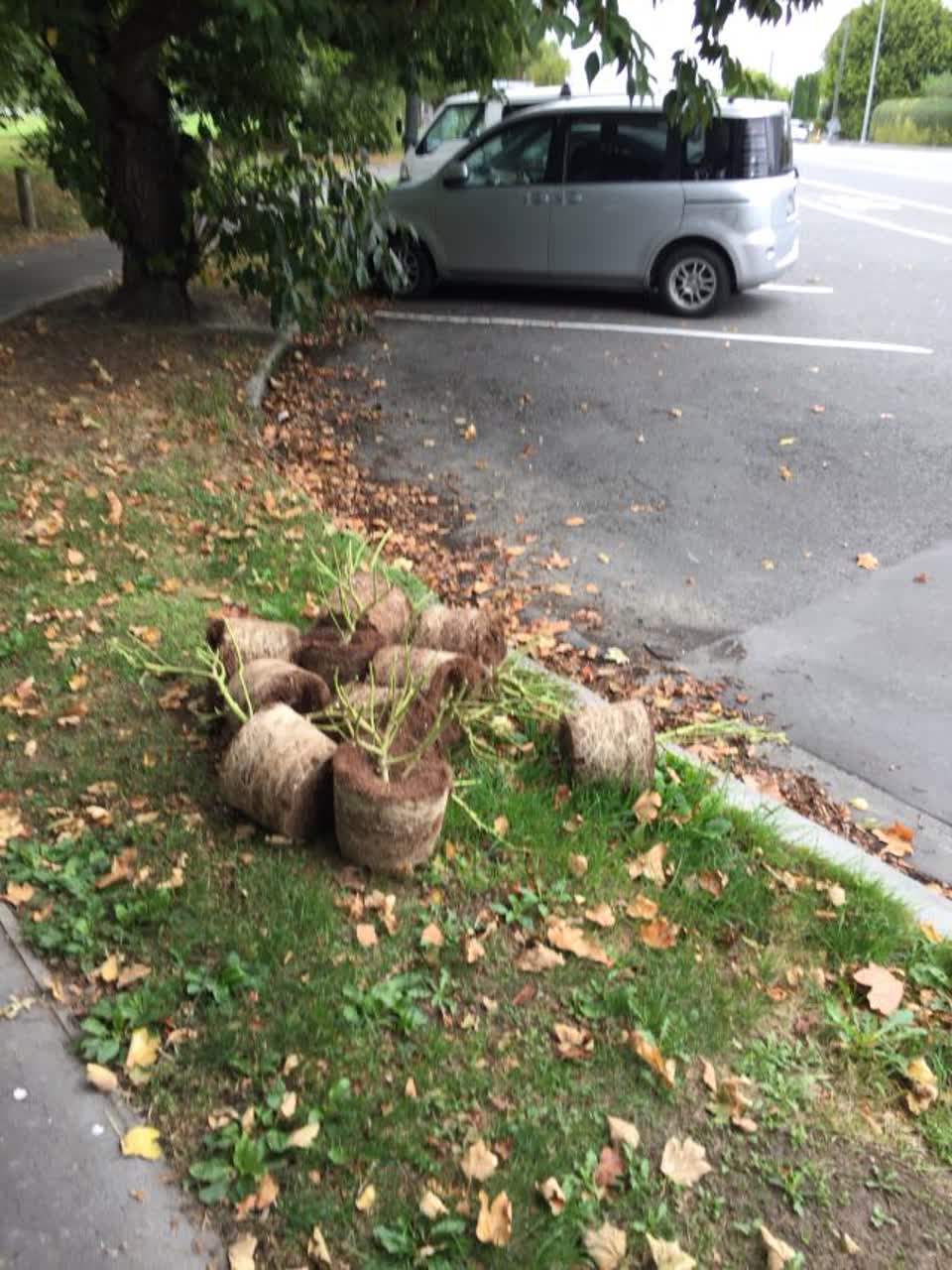 The photograph attached to this parks report