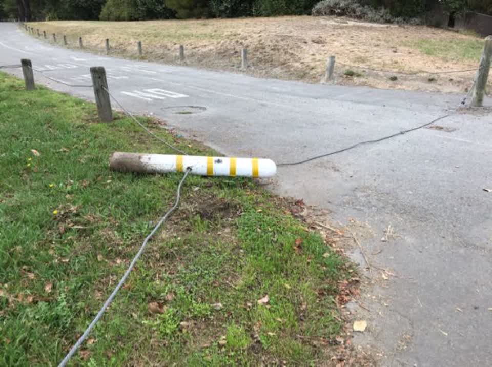 The photograph attached to this parks report