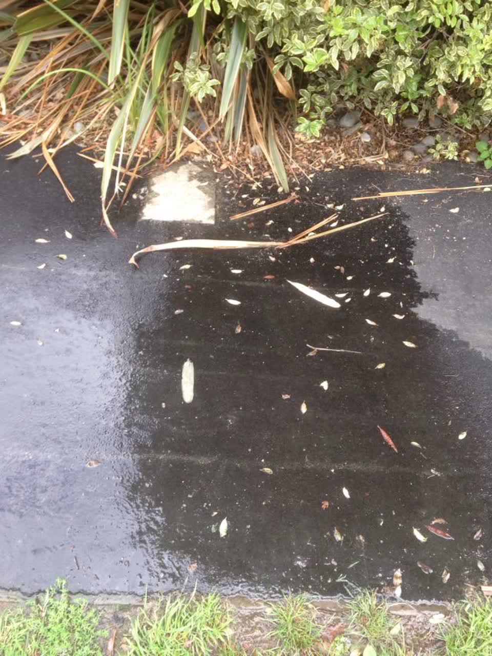 The photograph attached to this water supply report