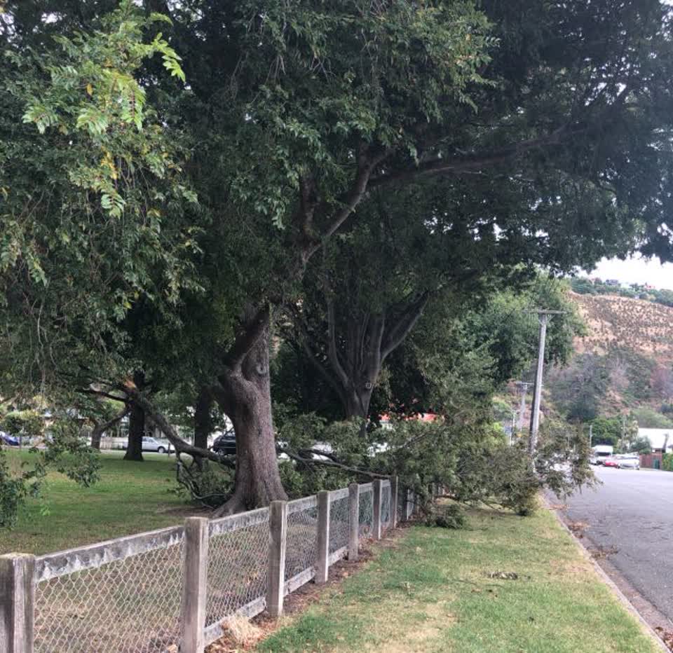 The photograph attached to this parks report