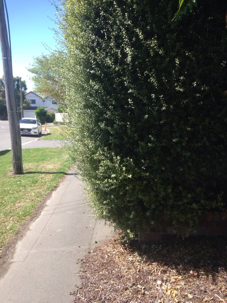 The photograph attached to this roading/streets report