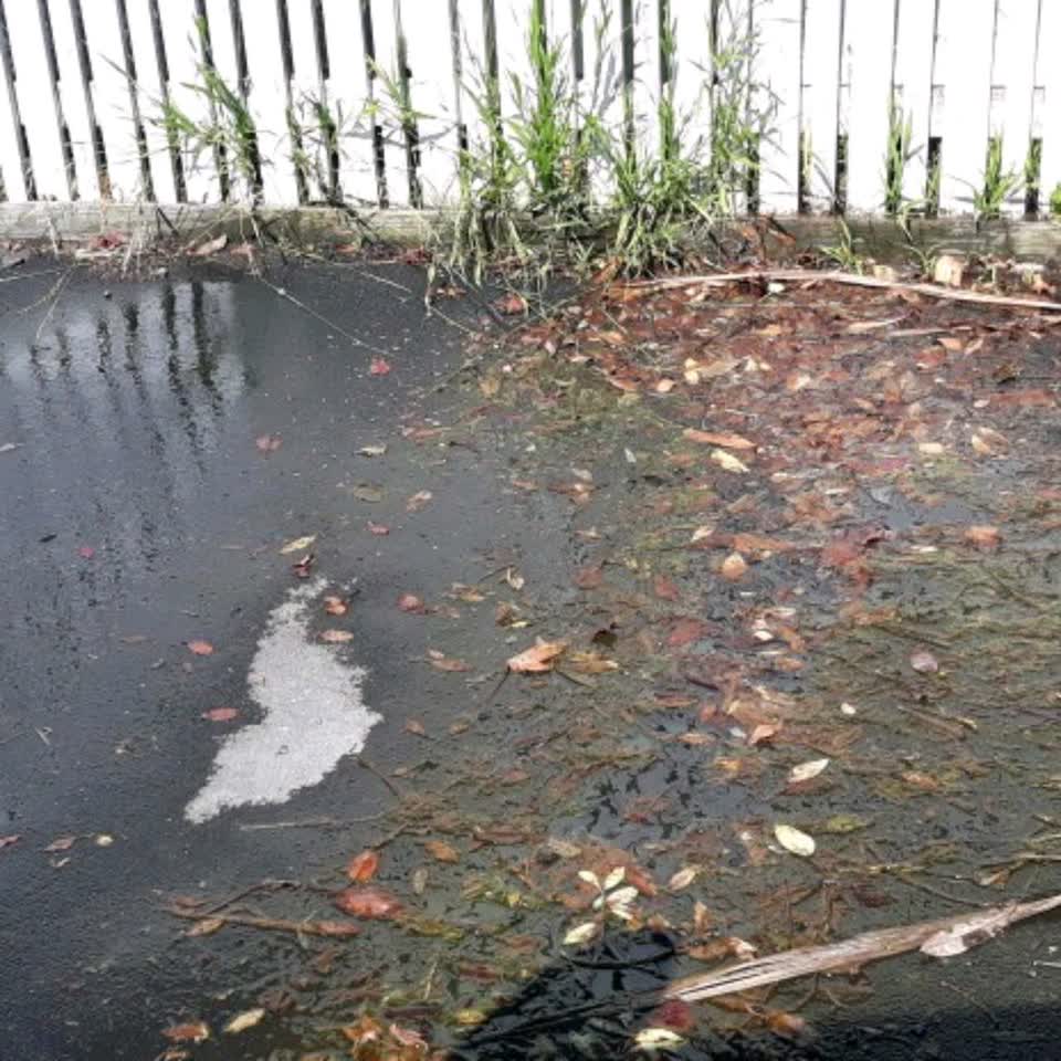 The photograph attached to this water supply report