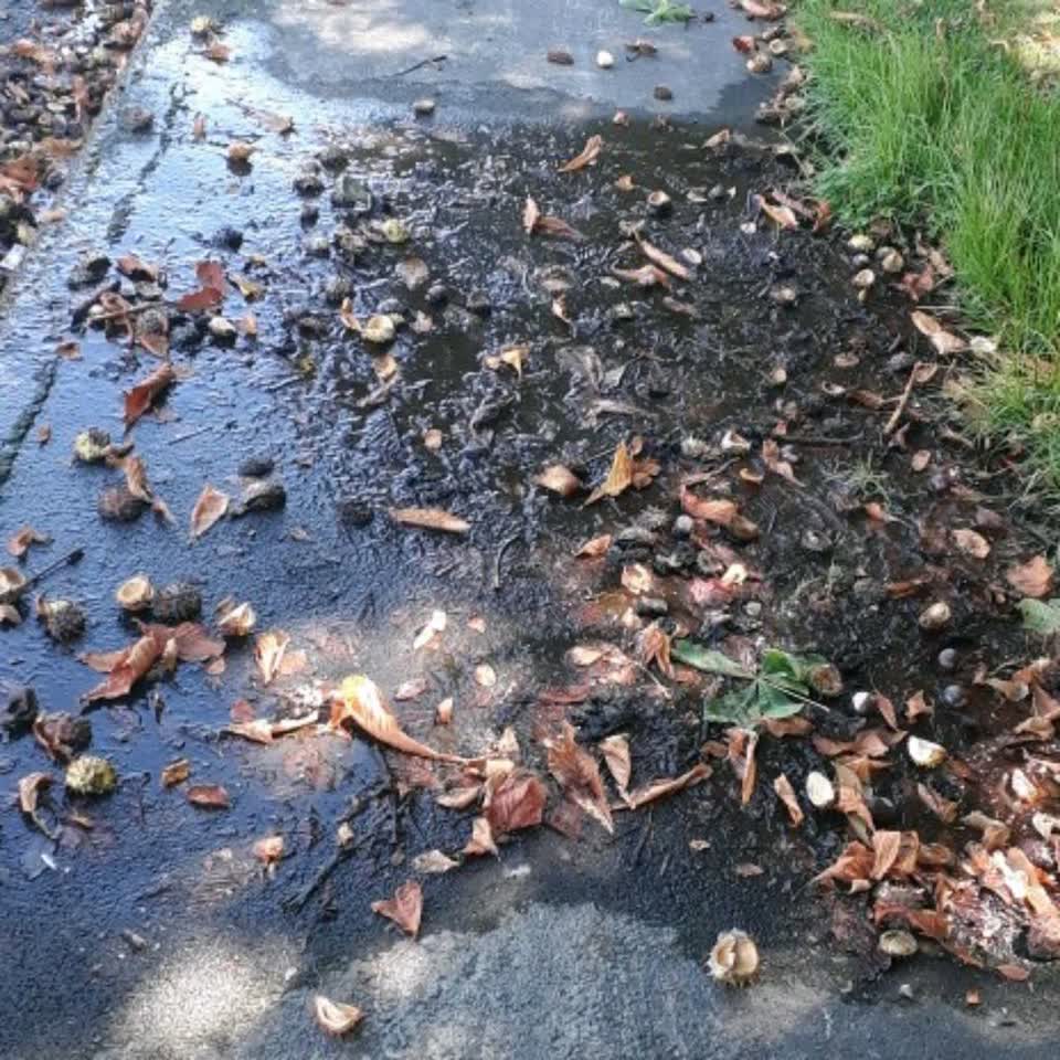 The photograph attached to this wastewater/stormwater report