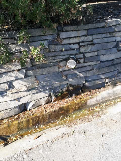 Water Supply, a report photo