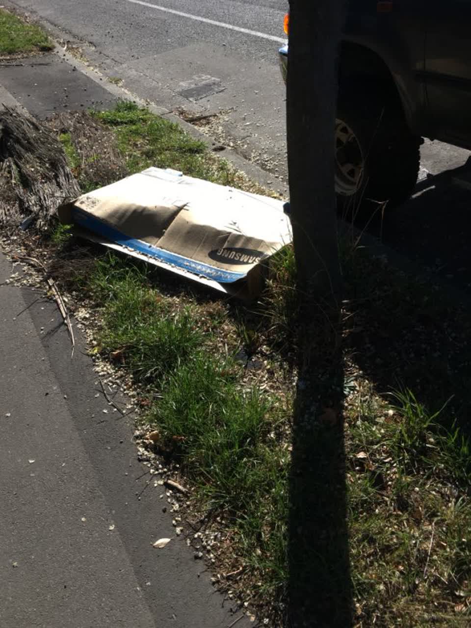 The photograph attached to this rubbish/recycling report