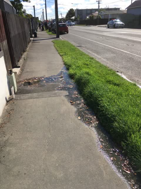 Roading/Streets, a report photo