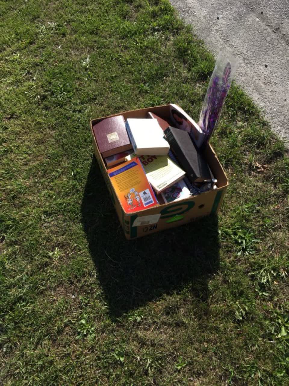 The photograph attached to this rubbish/recycling report