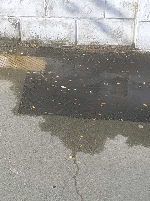 Water Supply, a report photo