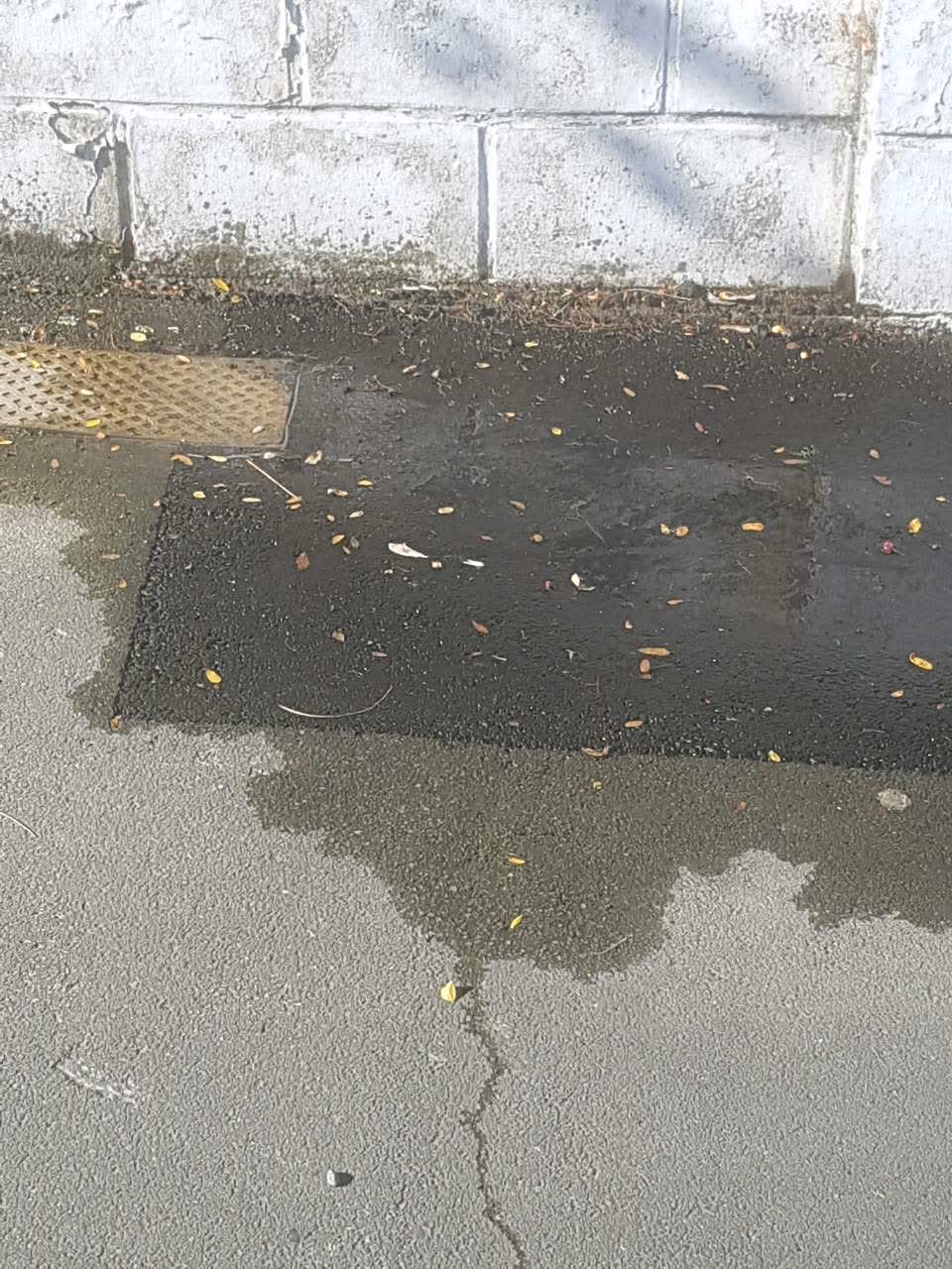 The photograph attached to this water supply report