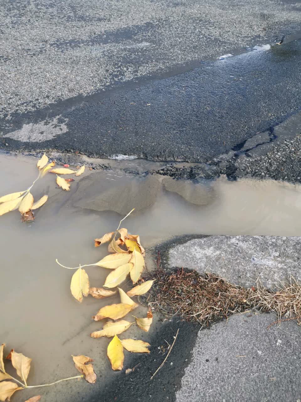 The photograph attached to this water supply report