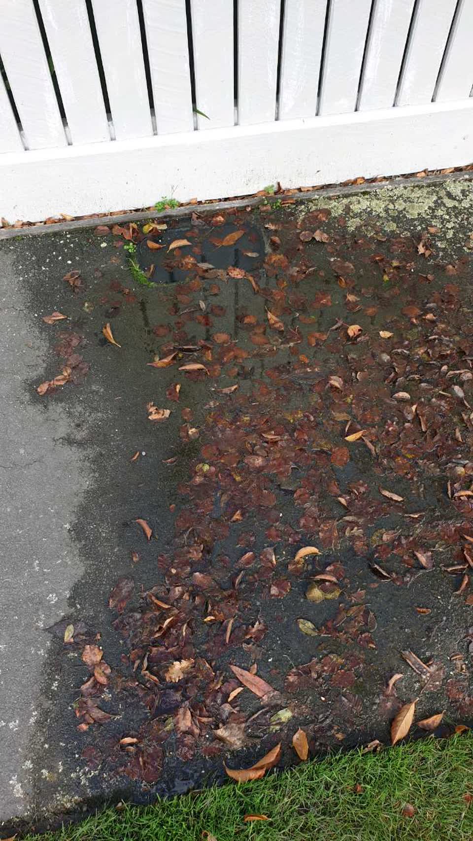 The photograph attached to this water supply report