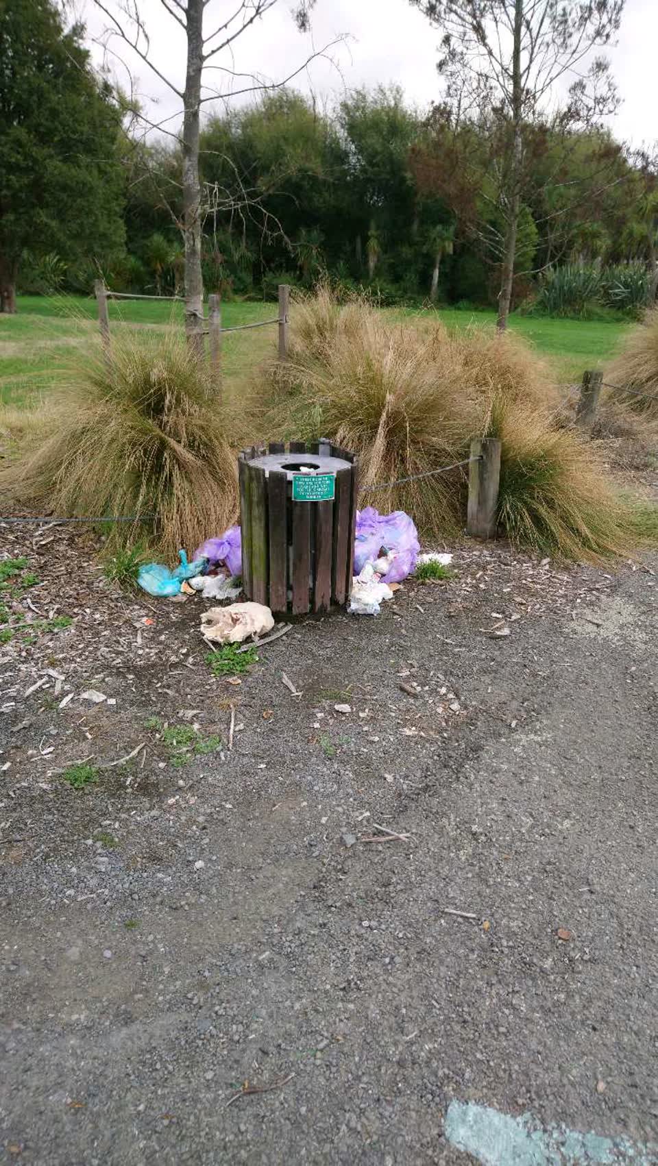 The photograph attached to this parks report