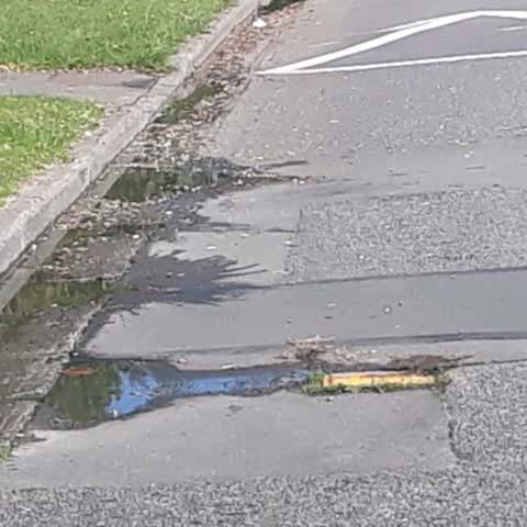 Water Supply, a report photo