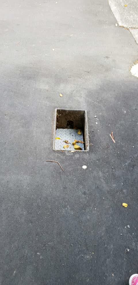 Roading/Streets, a report photo