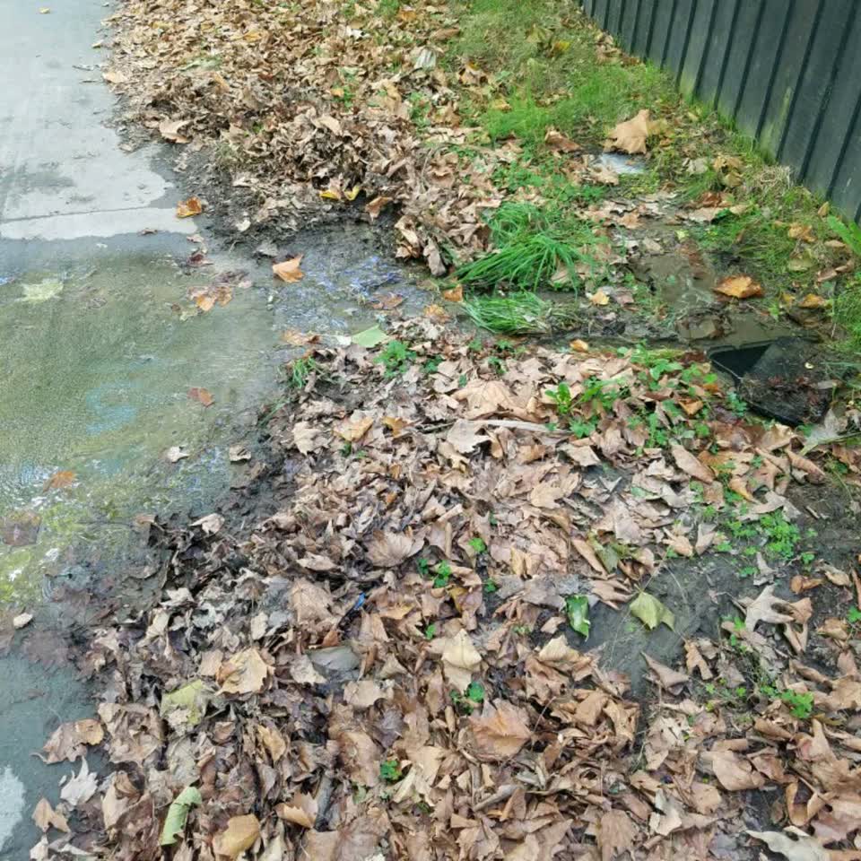 The photograph attached to this water supply report