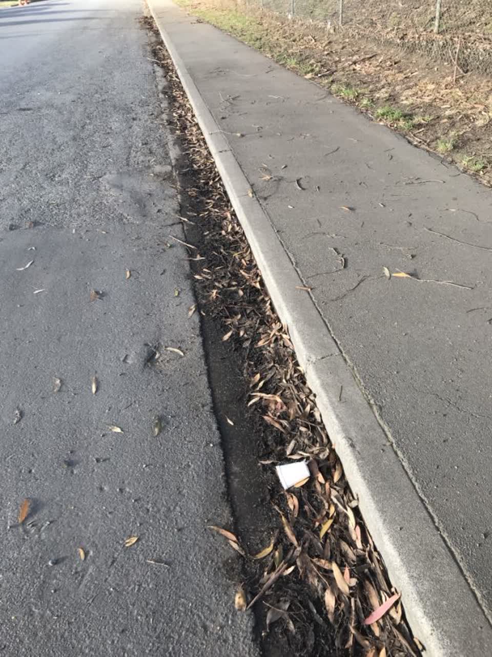 The photograph attached to this roading/streets report