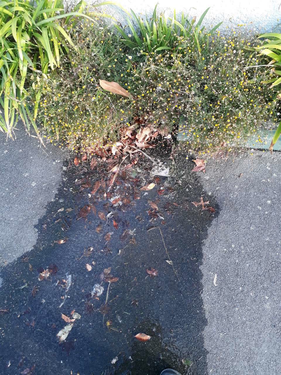 The photograph attached to this water supply report