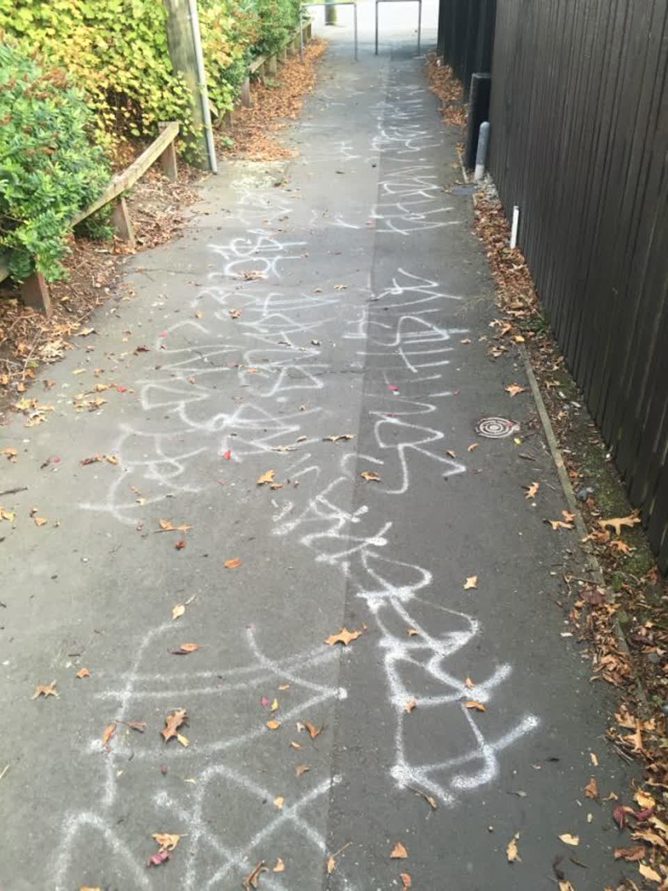 The photograph attached to this graffiti report