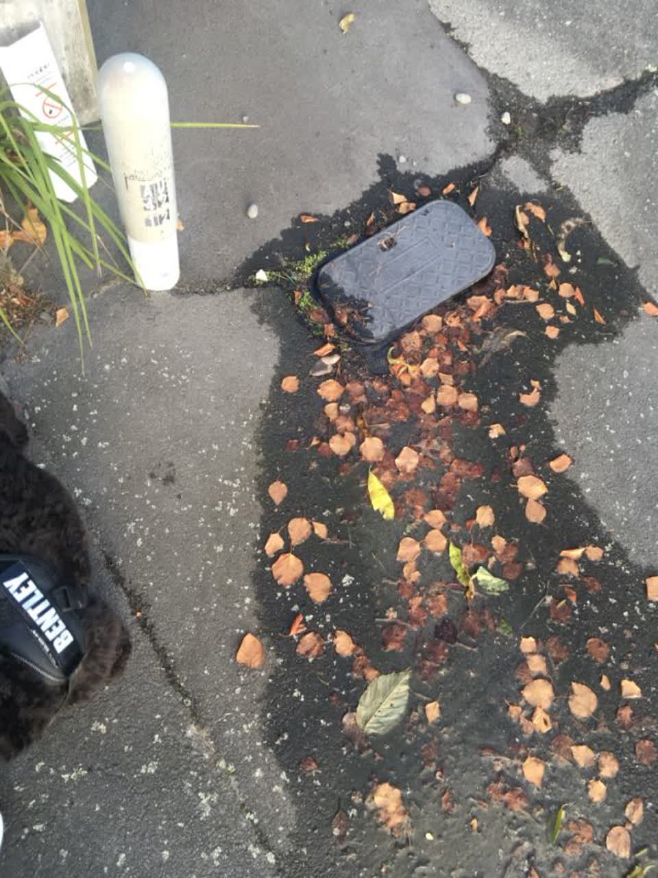 The photograph attached to this water supply report