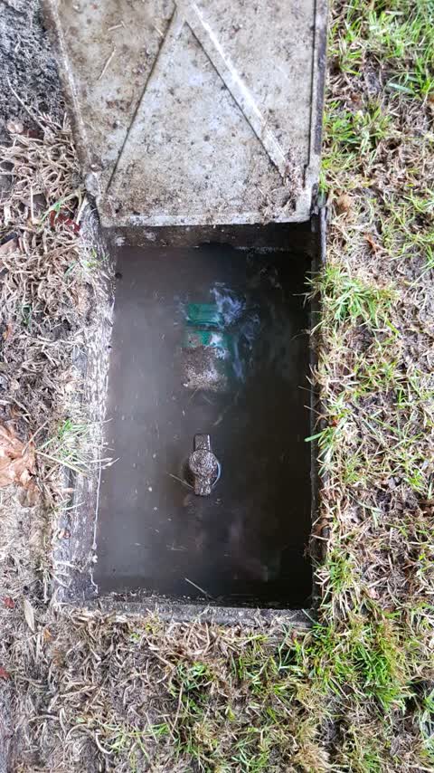 Water Supply, a report photo