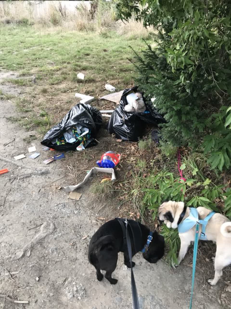 The photograph attached to this rubbish/recycling report