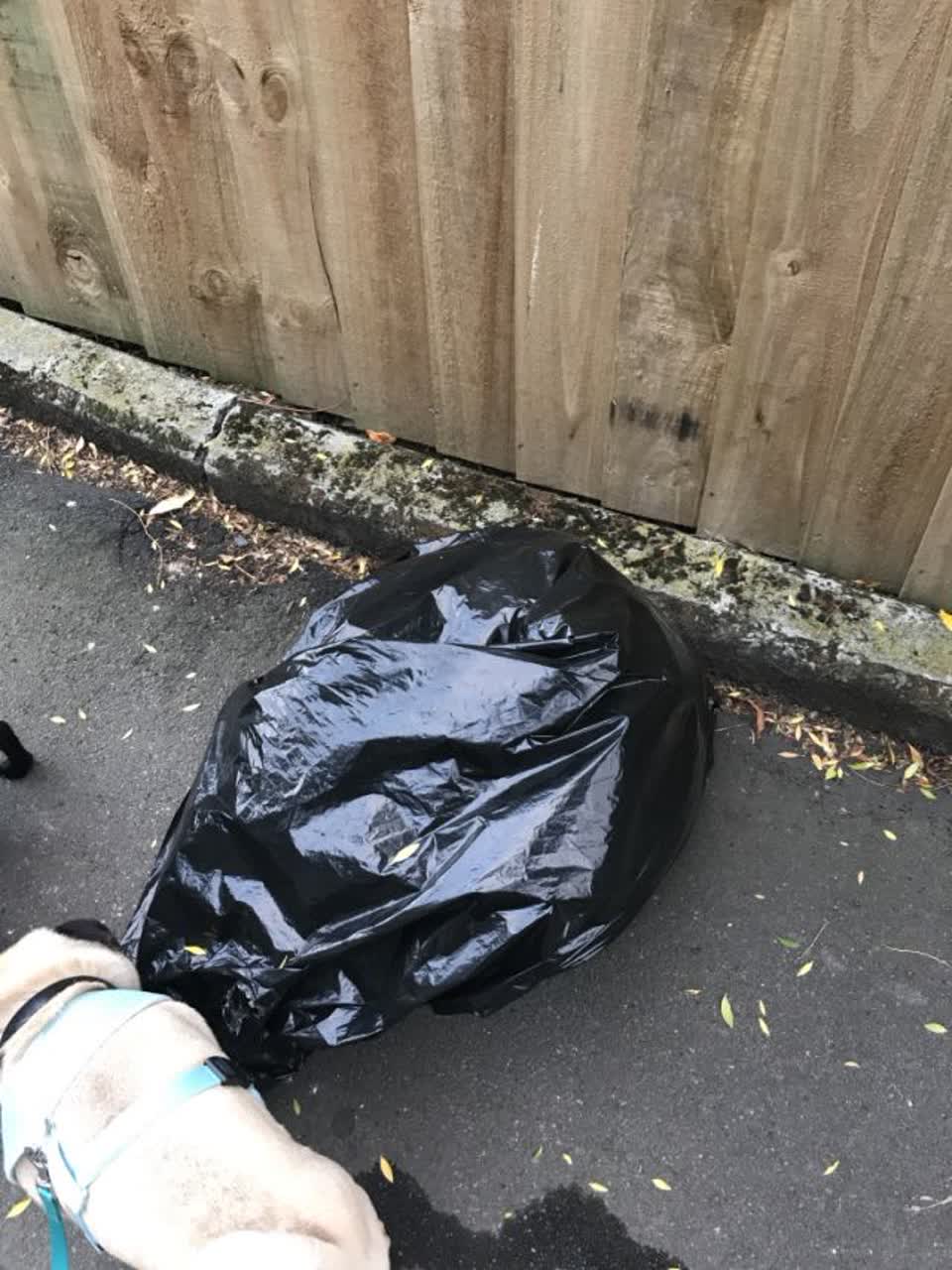 The photograph attached to this rubbish/recycling report