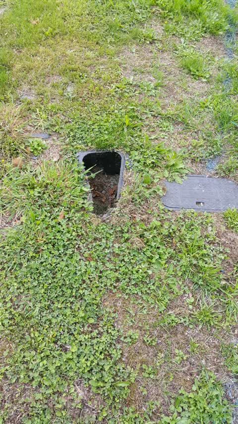 Water Supply, a report photo