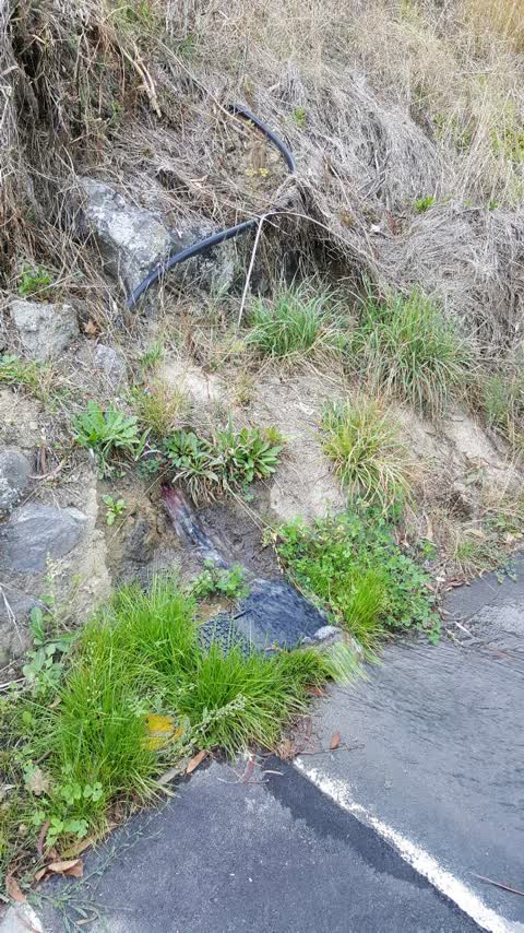 Water Supply, a report photo