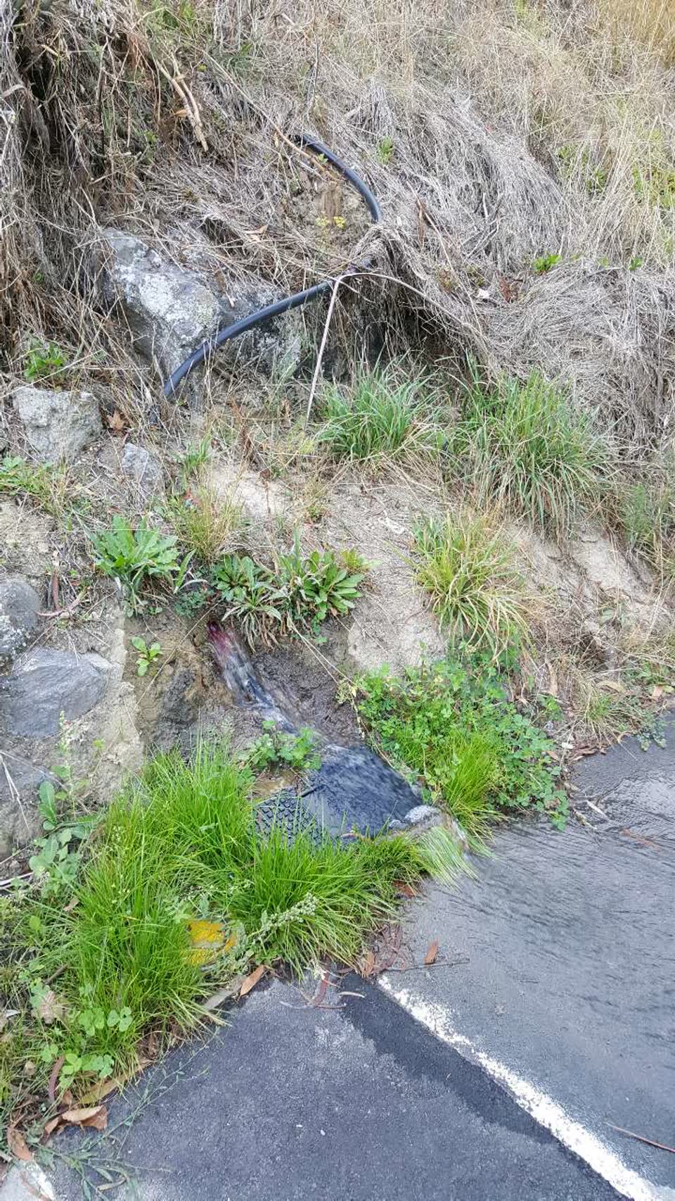 The photograph attached to this water supply report