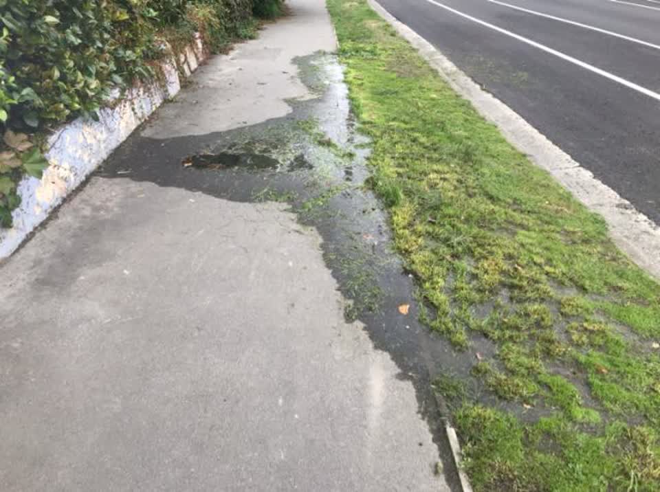 The photograph attached to this water supply report
