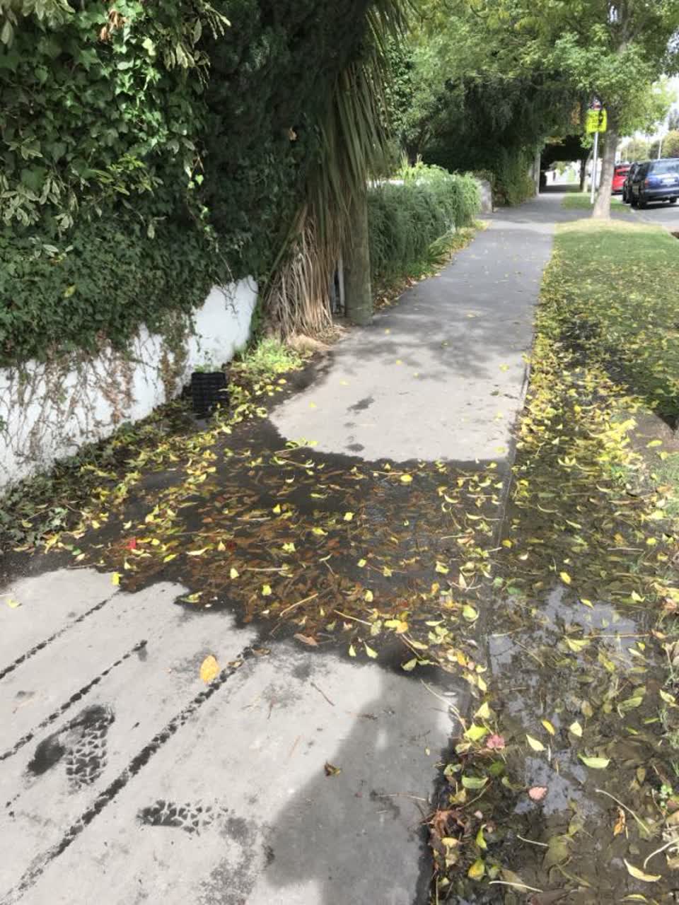 The photograph attached to this water supply report