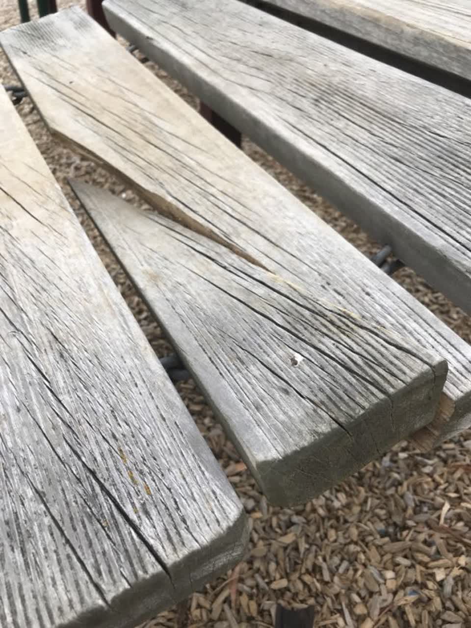 The photograph attached to this parks report